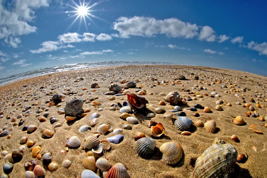 Отдых на Азове в Крыму Отдых в Крыму на Азовском море